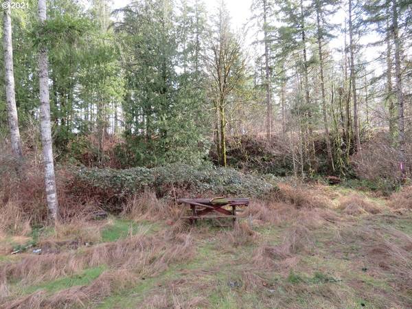 50 W Alder PL, Elma, WA 98584