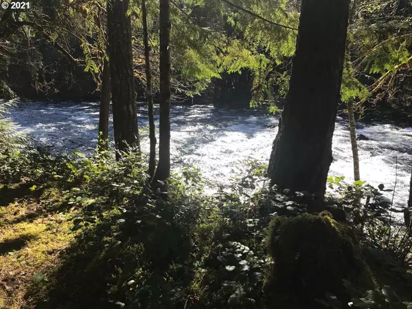 Blue River, OR 97413,55720 MCKENZIE RIVER DR