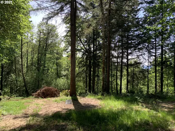 Woodland, WA 98674,1301 NW Lyons RD