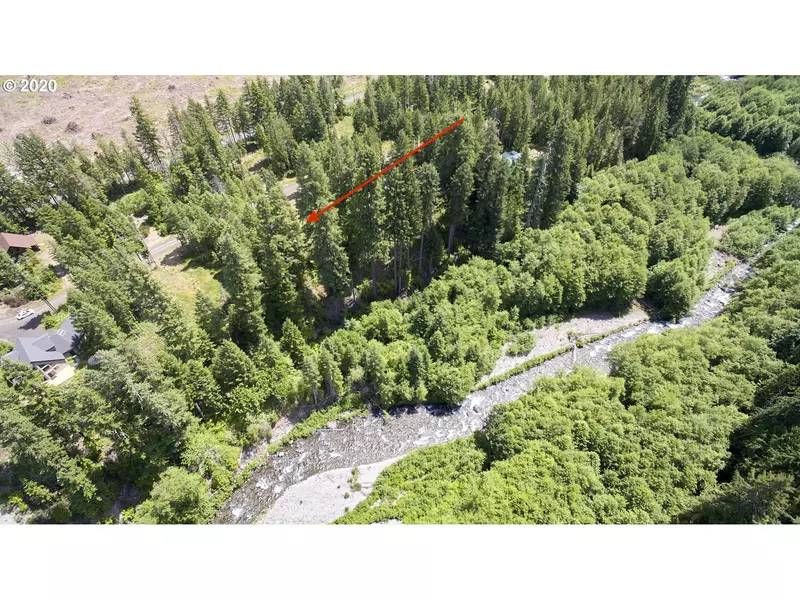 Lodgepole LN, Cougar, WA 98616