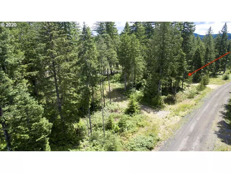 2 Lodgepole LN, Cougar, WA 98616