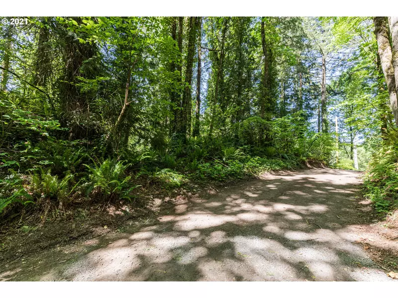 Laurelwood RD, Rainier, OR 97048