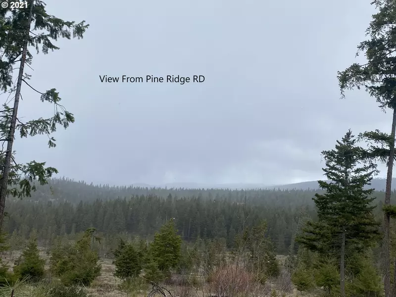 39 Pine Ridge, Goldendale, WA 98620