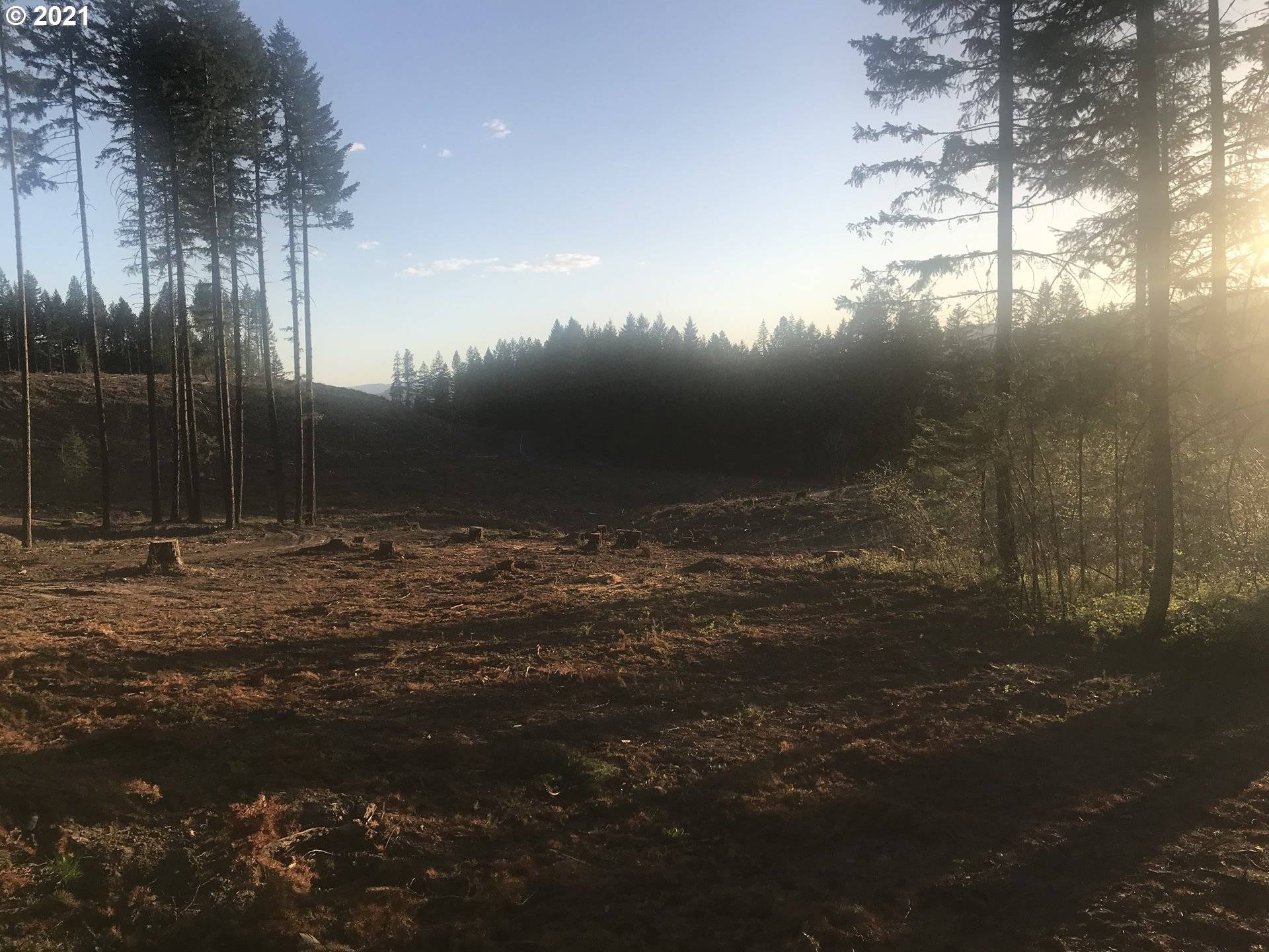 White Salmon, WA 98672,37 Glory LN