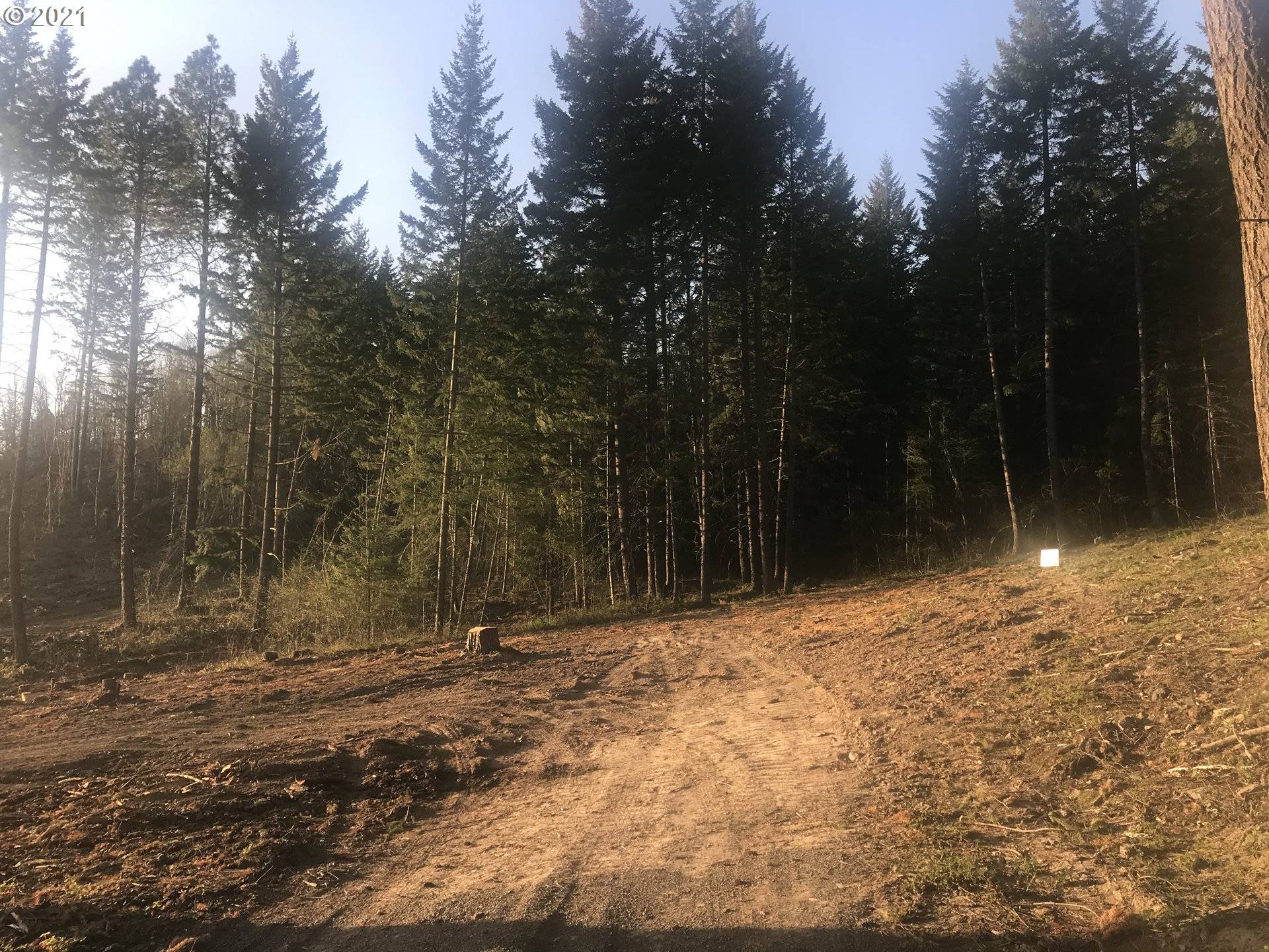 White Salmon, WA 98672,37 Glory LN