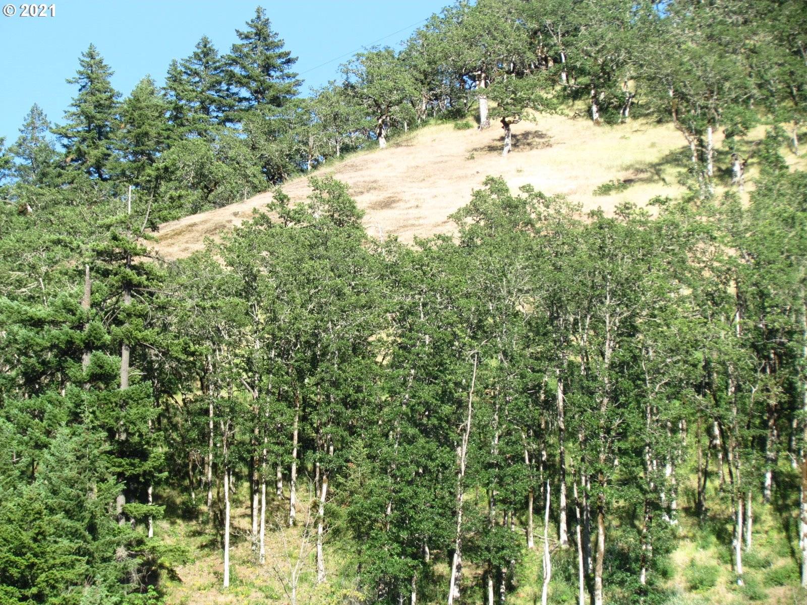 White Salmon, WA 98672,TL 12 off Hwy 141