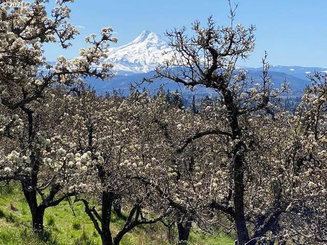 White Salmon, WA 98672,710 BALSIGERS ORCHARD LN