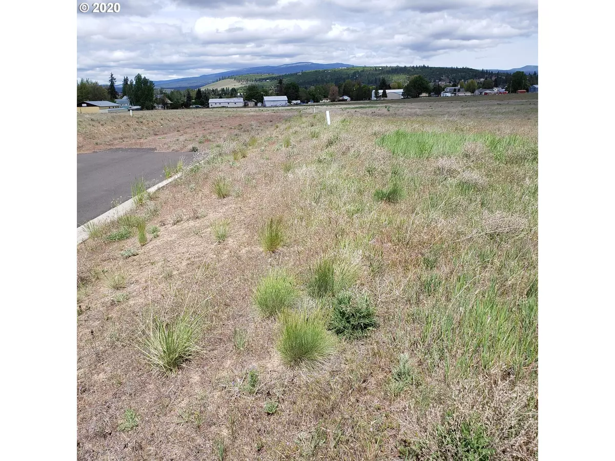 Goldendale, WA 98620,7 N PIONEER WAY #aprox