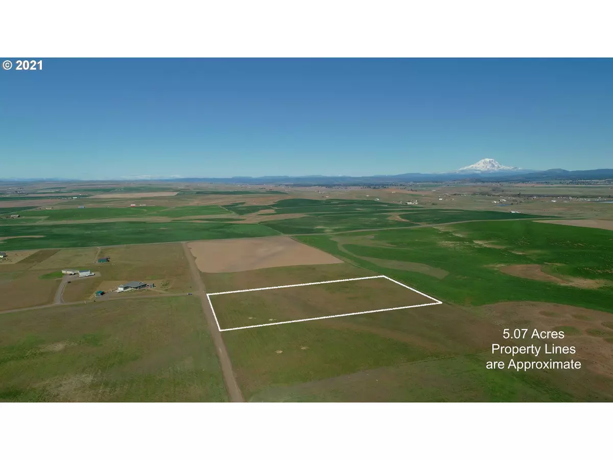 Goldendale, WA 98620,David DR