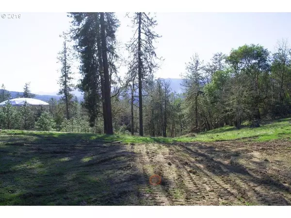 Roseburg, OR 97471,250 PITCHSTONE CT