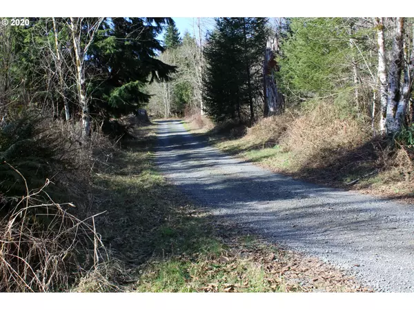 Woodland, WA 98674,00 NE Buncombe Hollow RD