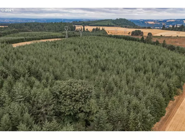 Scio, OR 97374,42480 Mount Pleasant 114AC