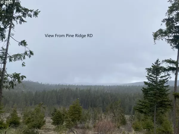 Goldendale, WA 98620,39 Pine Ridge