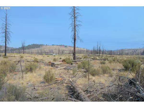 Sprague River, OR 97639,37 Mountain Quail LN