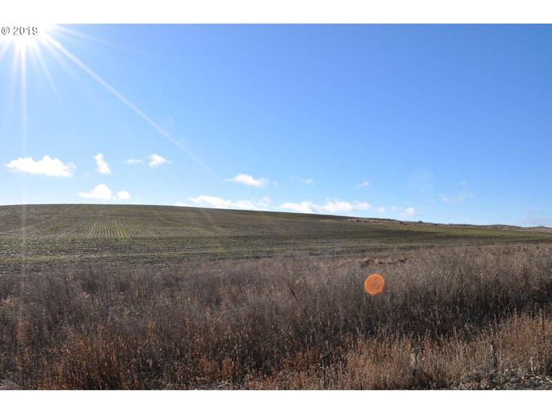 Three Spurs Loop #9, Goldendale, WA 98620