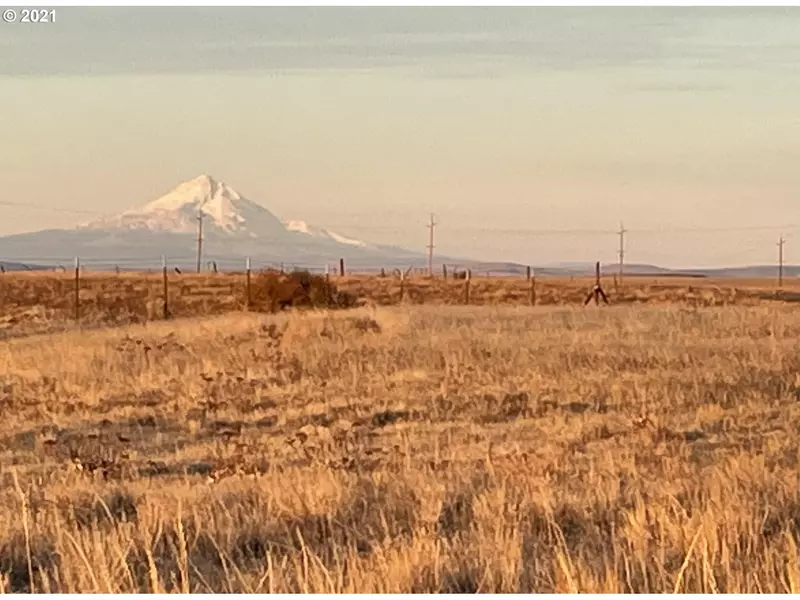 Woodland RD, Goldendale, WA 98620