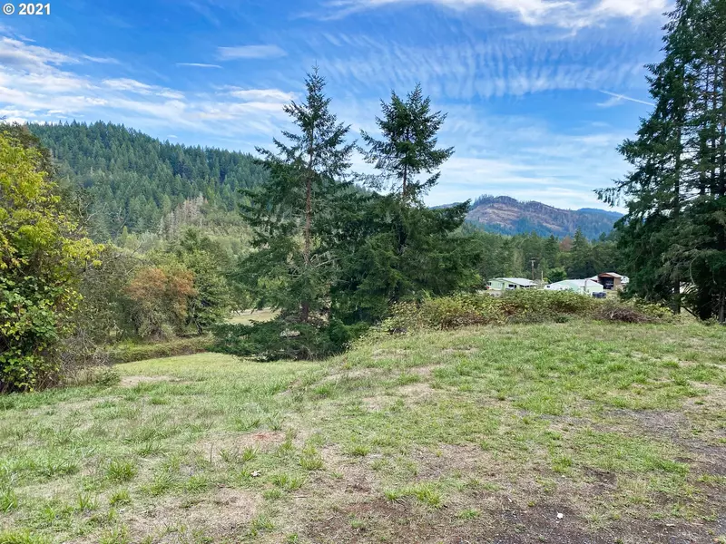 263 DEER HAVEN LN, Winston, OR 97496