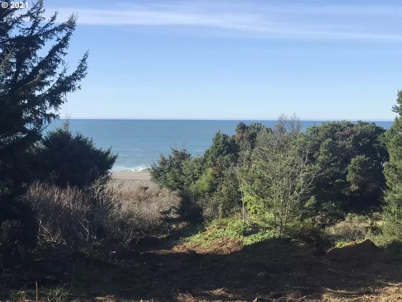 Ophir RD #601, Gold Beach, OR 97444