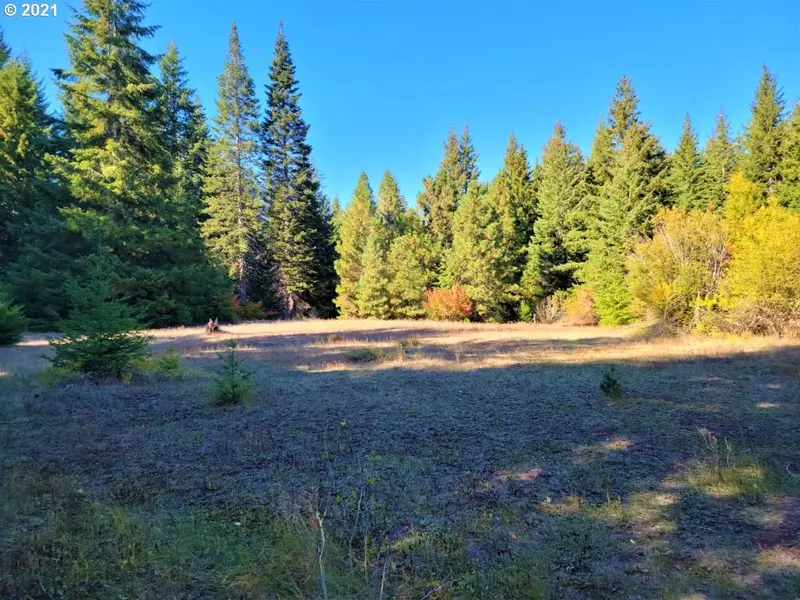 Chuckwagon RD #23, Appleton, WA 98602