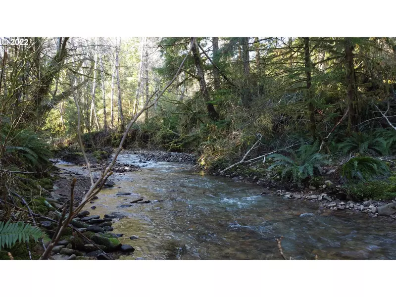 0 Dell Creek Main Line, Naselle, WA 98638