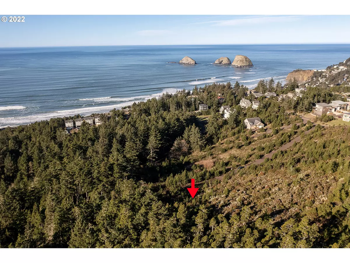 Oceanside, OR 97134,Manzanita #TL240