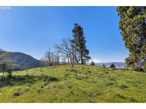 Hood River, OR 97031,2312 Balsamroot DR #9