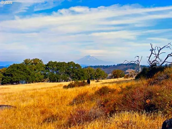 Mosier, OR 97040,Ketchum