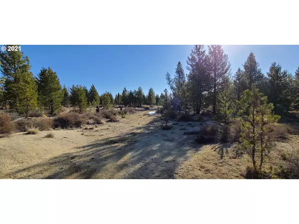 La Pine, OR 97739,400 Bear Track RD