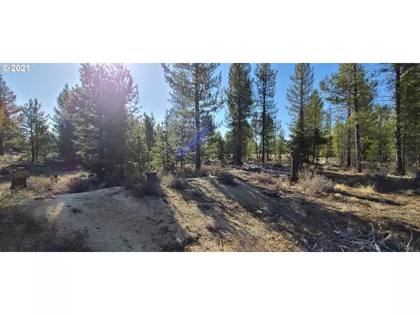 La Pine, OR 97739,400 Bear Track RD