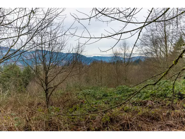 Woodland, WA 98674,000 NE 44th AVE