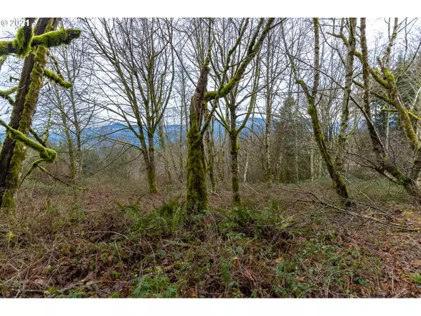 Woodland, WA 98674,000 NE 44th AVE