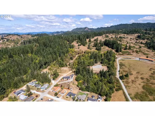 Myrtle Point, OR 97458,2375 KING LN