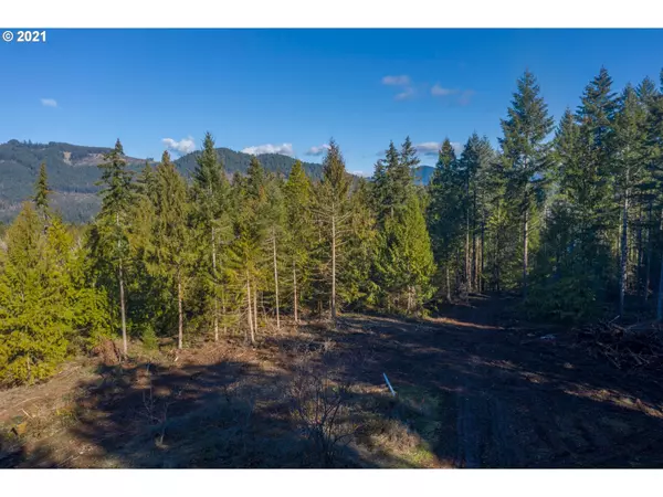 0 Minnow Creek RD, Lowell, OR 97452