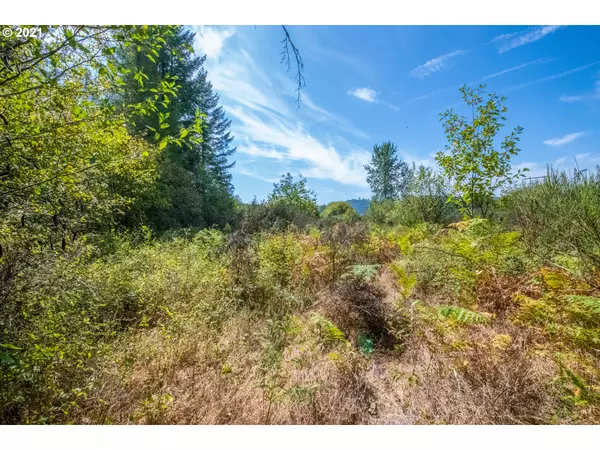 Ariel, WA 98603,232 Wild Daisy DR