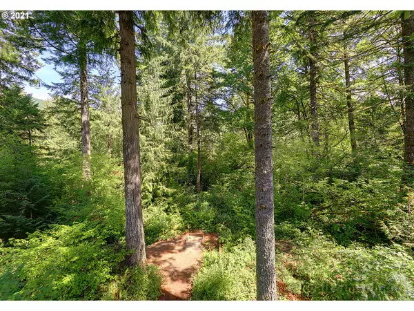 65466 E SANDY RIVER LN, Rhododendron, OR 97049