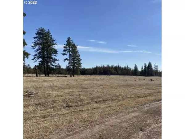 Goldendale, WA 98620,42 Tanzanite DR