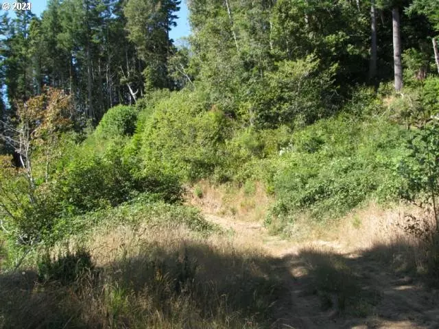 Hunter Creek Heights RD, Gold Beach, OR 97444