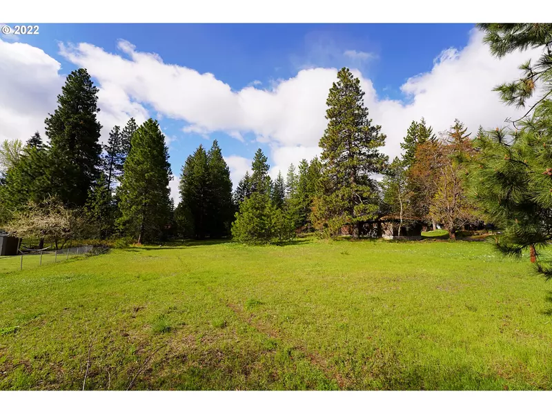 2421 Hwy 141 #2, Trout Lake, WA 98650