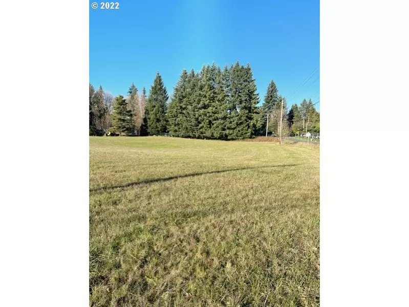 0 NE Caples RD, Brush Prairie, WA 98606