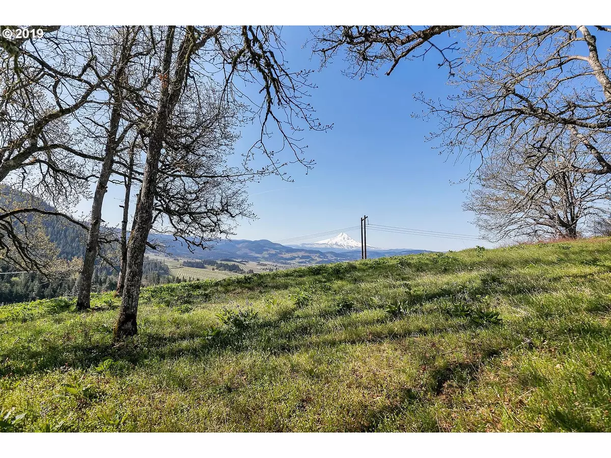 Hood River, OR 97031,1268 Hidden Oaks DR #10