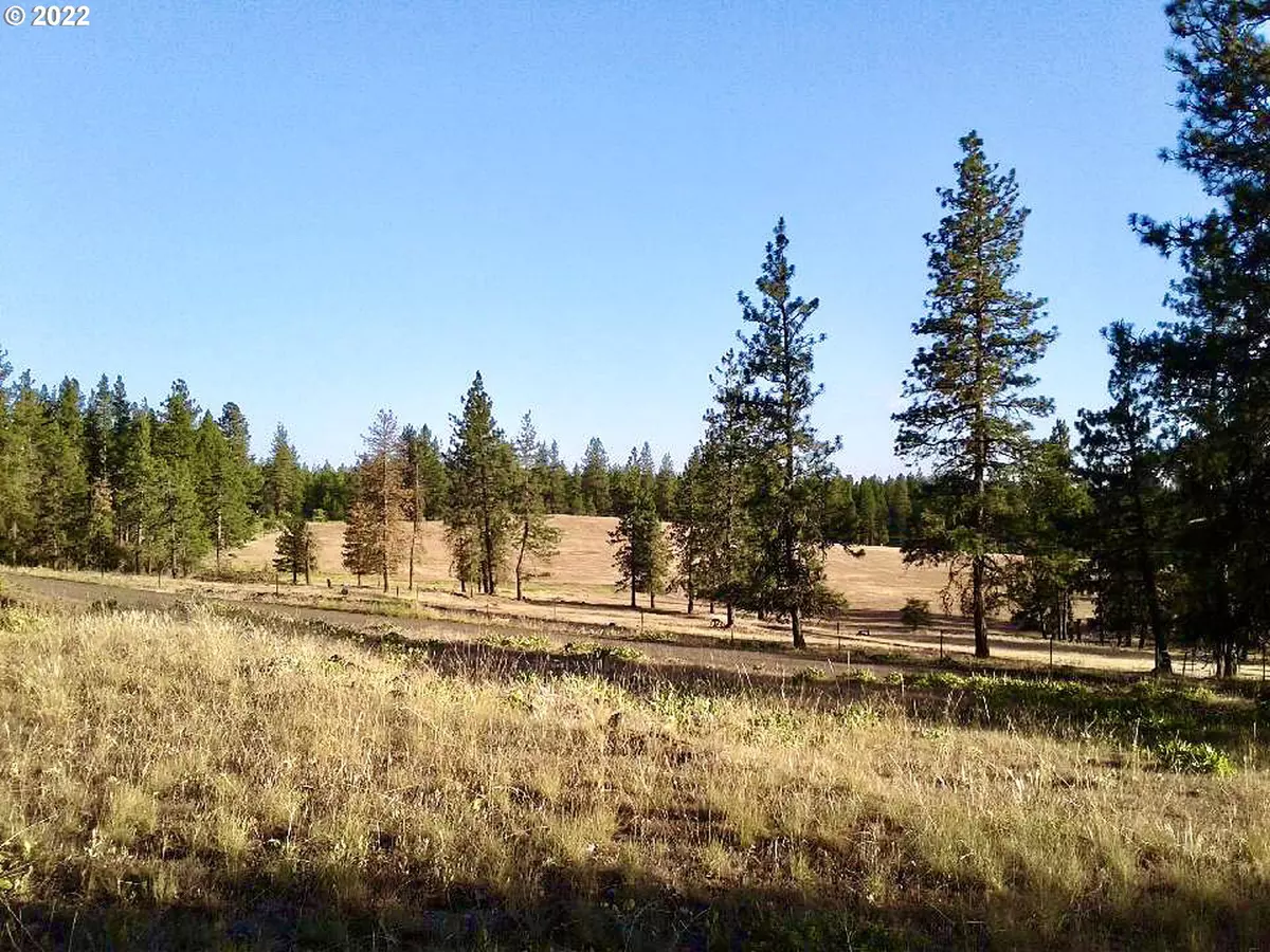 Goldendale, WA 98620,929 Zelinski RD