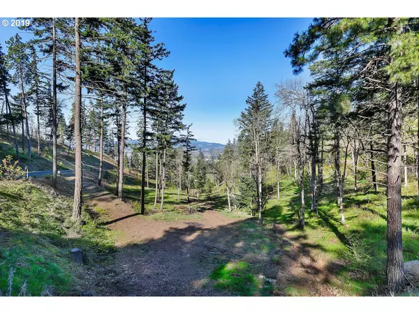 Hood River, OR 97031,1340 Hidden Oaks DR #4