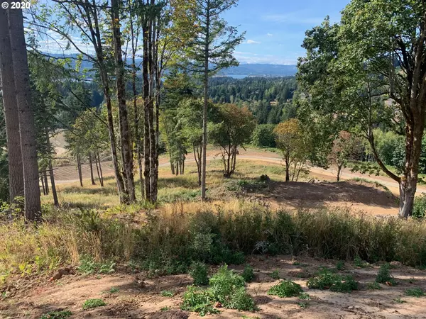 Kalama, WA 98625,0 Olivia LN #Lot M