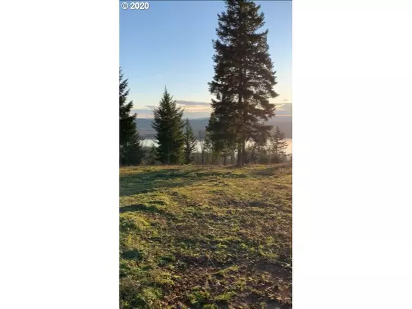 Kalama, WA 98625,0 Olivia LN #Lot M