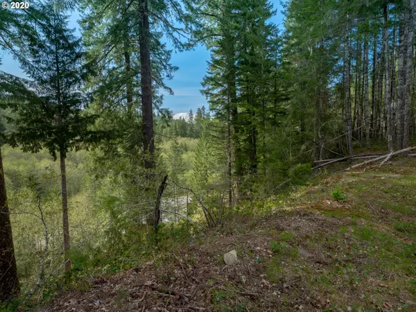 Cougar, WA 98616,4 Lodge Pole LN