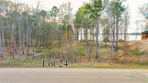 Leesburg, TX 75451,Lot 24 Private Road 52416