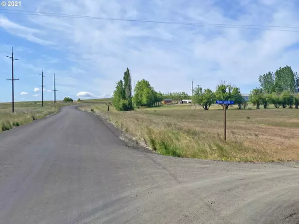 Goldendale, WA 98620,8 Princehouse PL