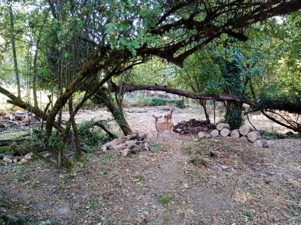 Sylvan ST, Eugene, OR 97403