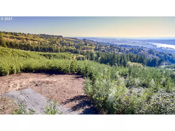 3105 Green Mountain RD #A, Kalama, WA 98625