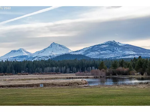 Black Butte Ranch, OR 97759,12960 HAWKS BEARD #29